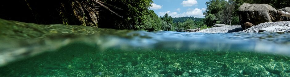 Sense © Eduardo Soteras / WWF Schweiz